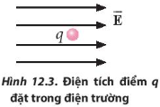 BÀI 12. ĐIỆN TRƯỜNG