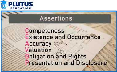 financial statement assertions
