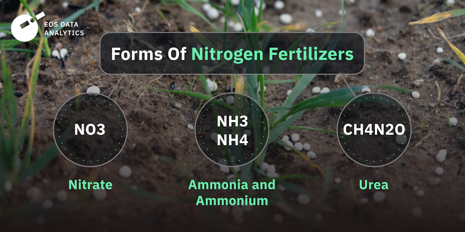 Types of Nitrogen-Based Fertilizers