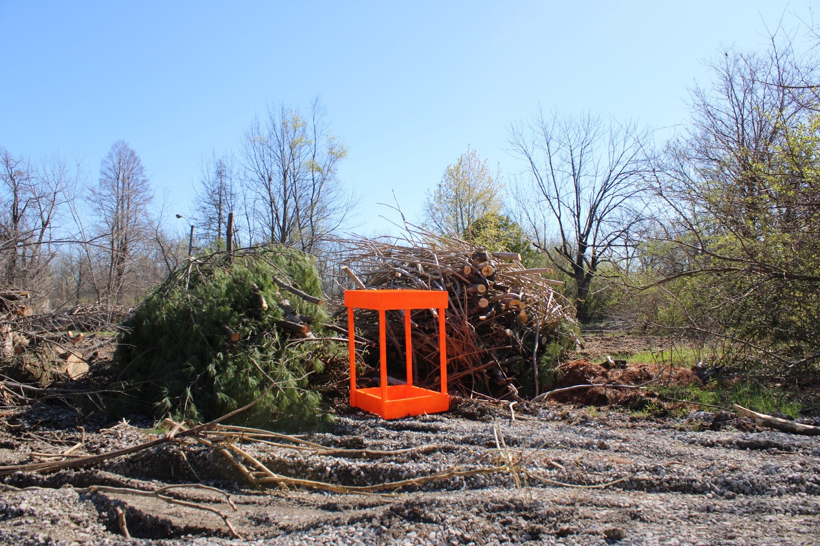 Image: In “Eco-Art,” Basia Irland writes, “Eco-art involves a transdisciplinary, multimedia, activist oriented process, which addresses environmental and sustainability issues. There is a shift away from art as commodity and toward new creative possibilities of art in service to communities and ecosystems.” Broken and torn down foliage fills the composition. A bright orange garden box sits in the middle debris. Allena Brazier, "Building Abandonment" series, photography with hand built garden box, East St. Louis, 2022. Photo courtesy of the artist. 