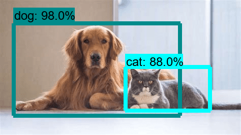 Object Detection: Classification vs Localization