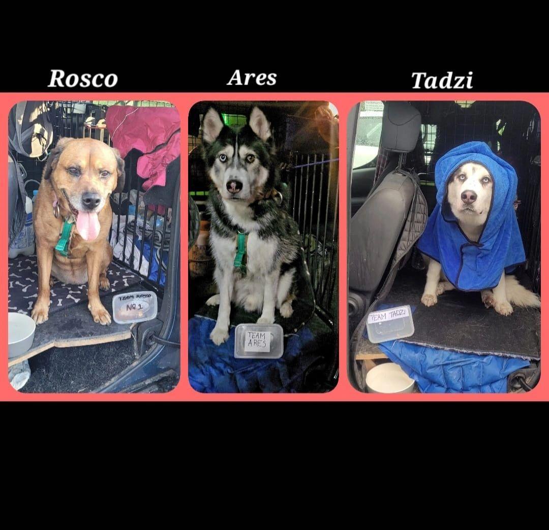 Aidy's three trailing teams! Team Rosco, Team Ares and Team Tadzi