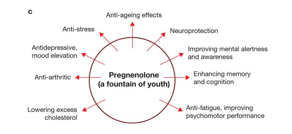 pregnenolone the fountain of youth chart