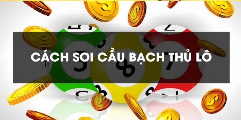 Bạch thủ lô là gì? Hướng dẫn soi cầu cực chuẩn chỉ