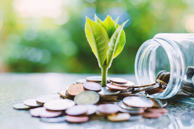 The Role of Green Bonds in Portugal’s Sustainable Finance Movement