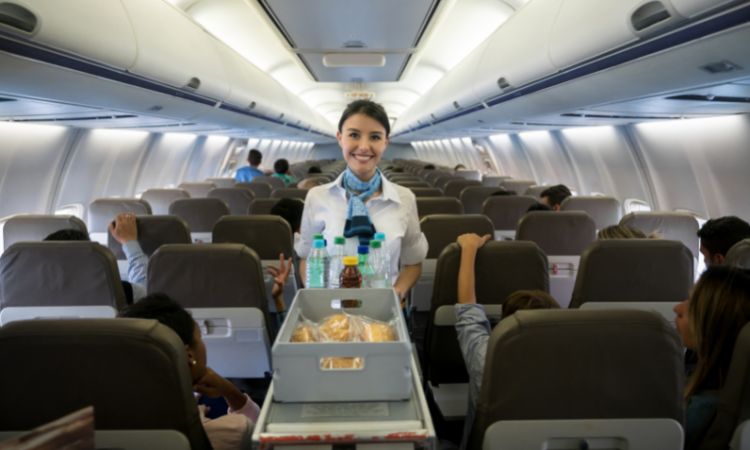 Flight Attendant