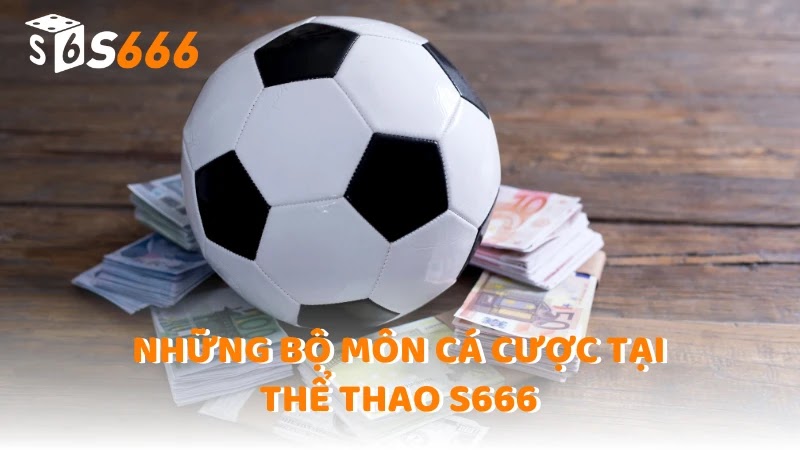 Những bộ môn cá cược tại thể Thao S666
