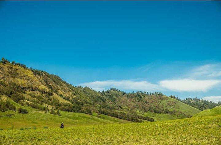 Pesona Bukit Teletubbies Bromo, Lanskap Hijau yang Menawan di Kawasan Bromo