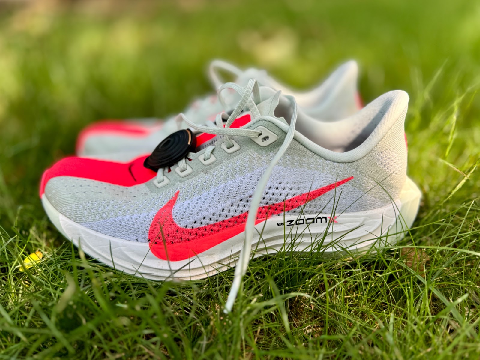 Road Trail Run Nike Pegasus Plus 100 Miles Review