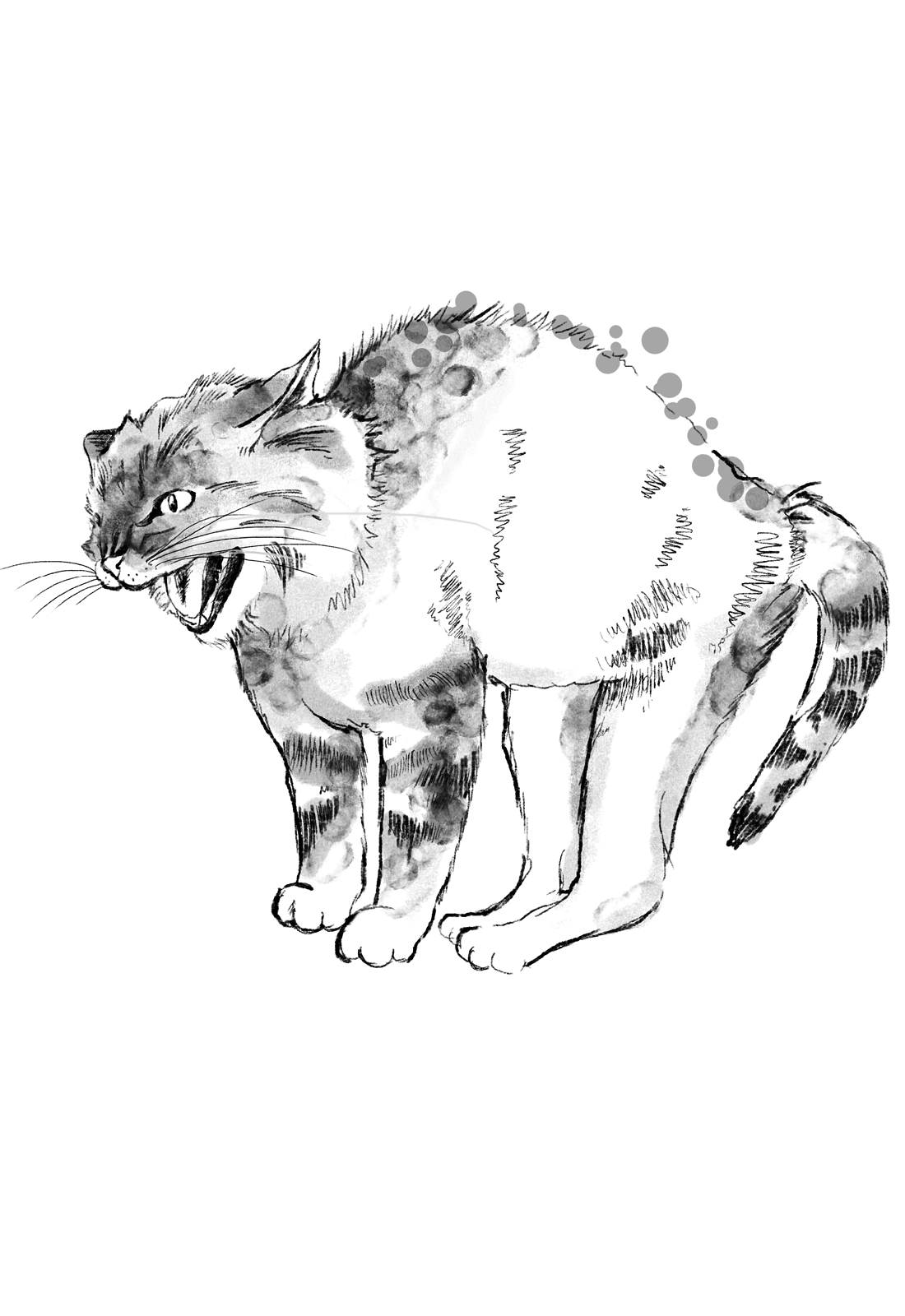 Katzenbuch_Fauchen_BW.png