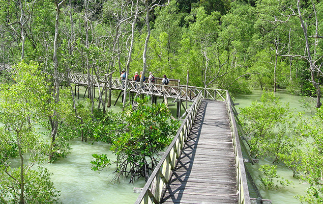 best things to do in kuching Bako National Park