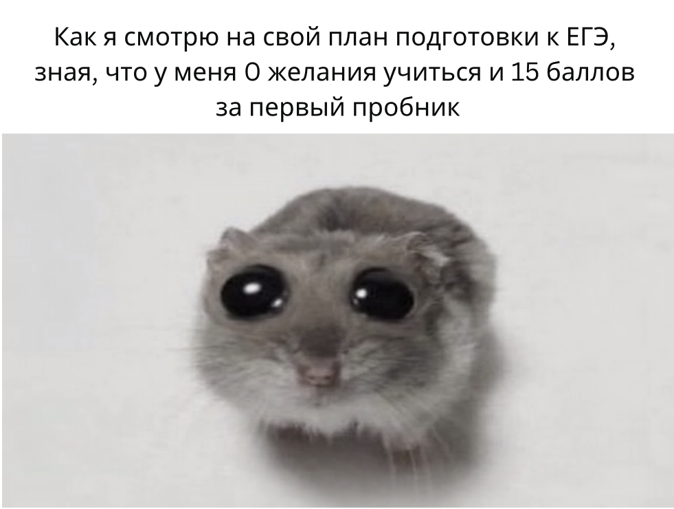 План подготовки