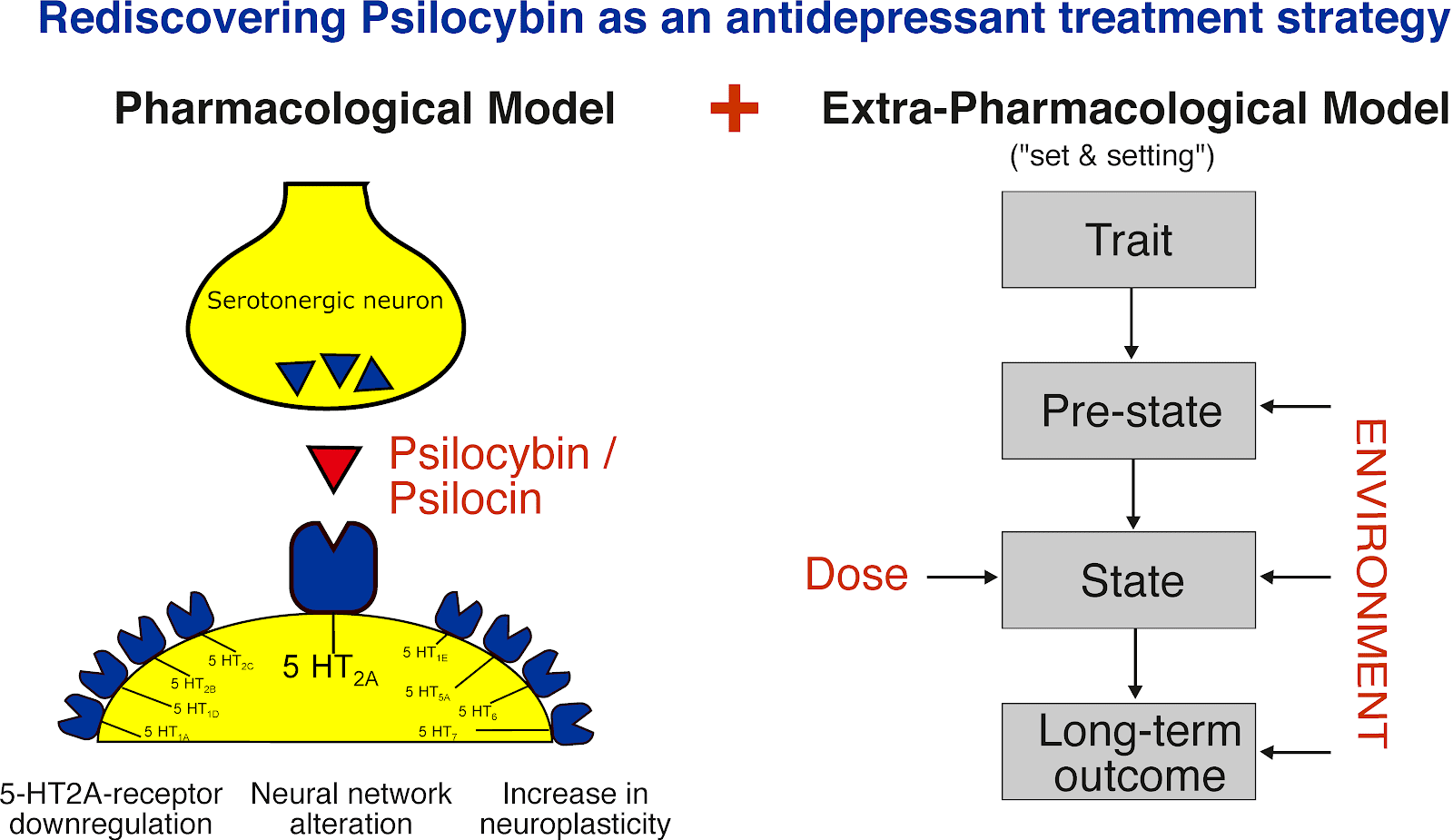 Pharmaceuticals | Free Full-Text | Rediscovering Psilocybin as an  Antidepressive Treatment Strategy