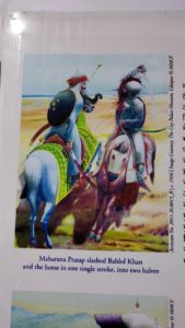 Travel Mewar mevad rajsthan tourism
