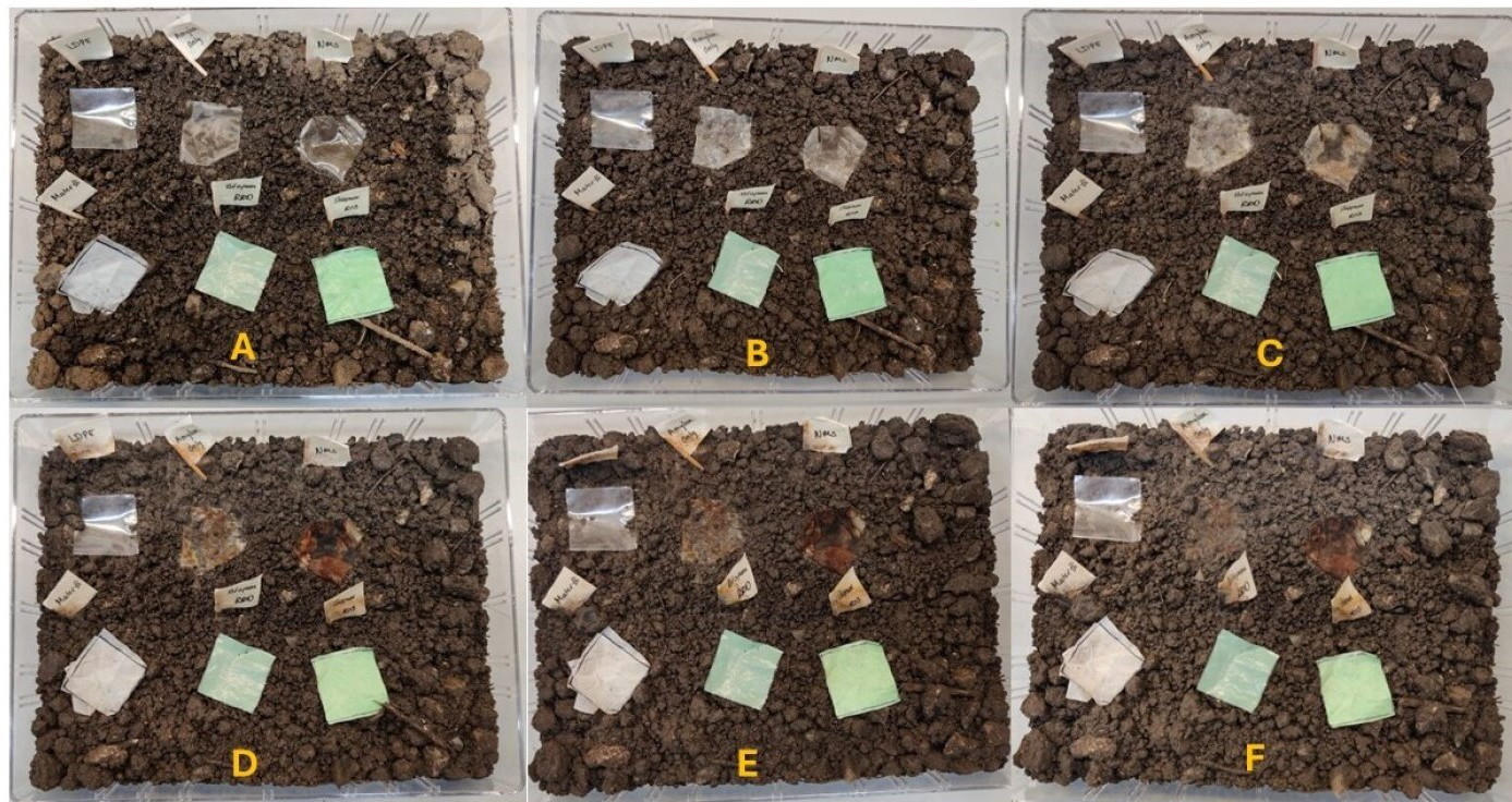 A group of images of soil

Description automatically generated