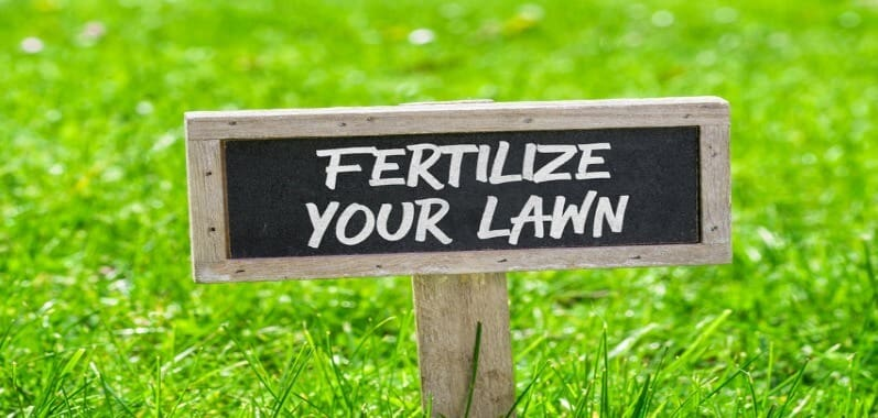 Fertilize Lawn