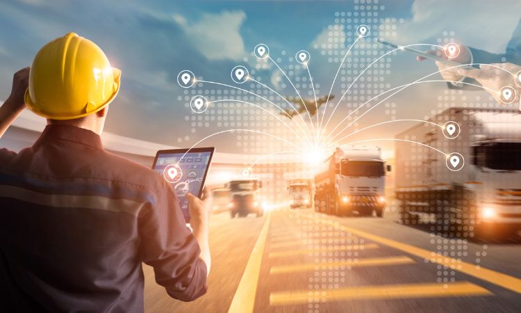 Logistics Analysts