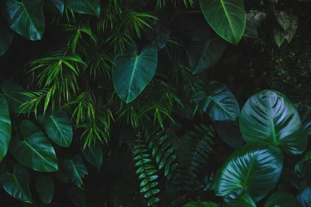 12 Earth Textures That Look Like Art, earth texture, natural art, nature, forest, landscape, terrain pattern, ground details