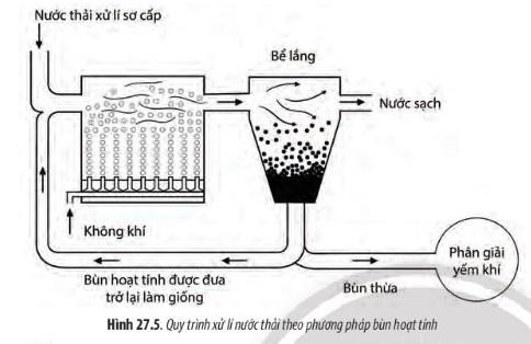 BÀI 27 - ỨNG DỤNG VI SINH VẬT TRONG THỰC TIỄN