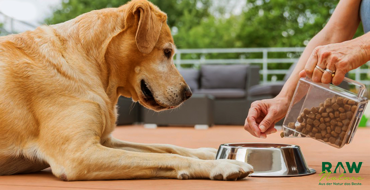 Hundefutter bestellen online im Shop von RAW Pet Food