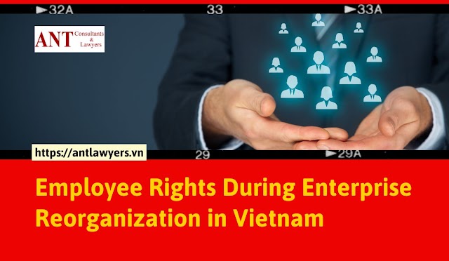7 Essential Tips to Safeguard Employee Rights During Enterprise Reorganization in Vietnam