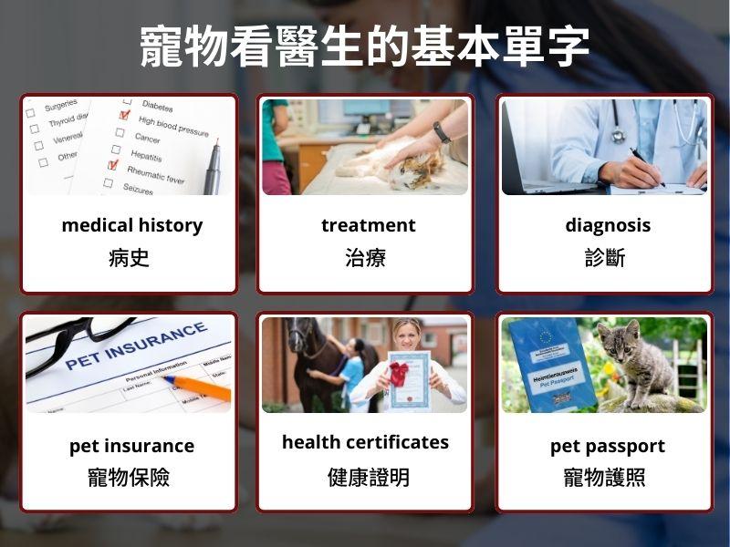 一張含有 文字, 名片, 螢幕擷取畫面 的圖片

自動產生的描述
