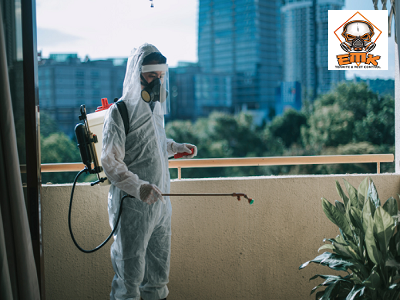 The Importance of Regular Pest Inspections in Edensor Park