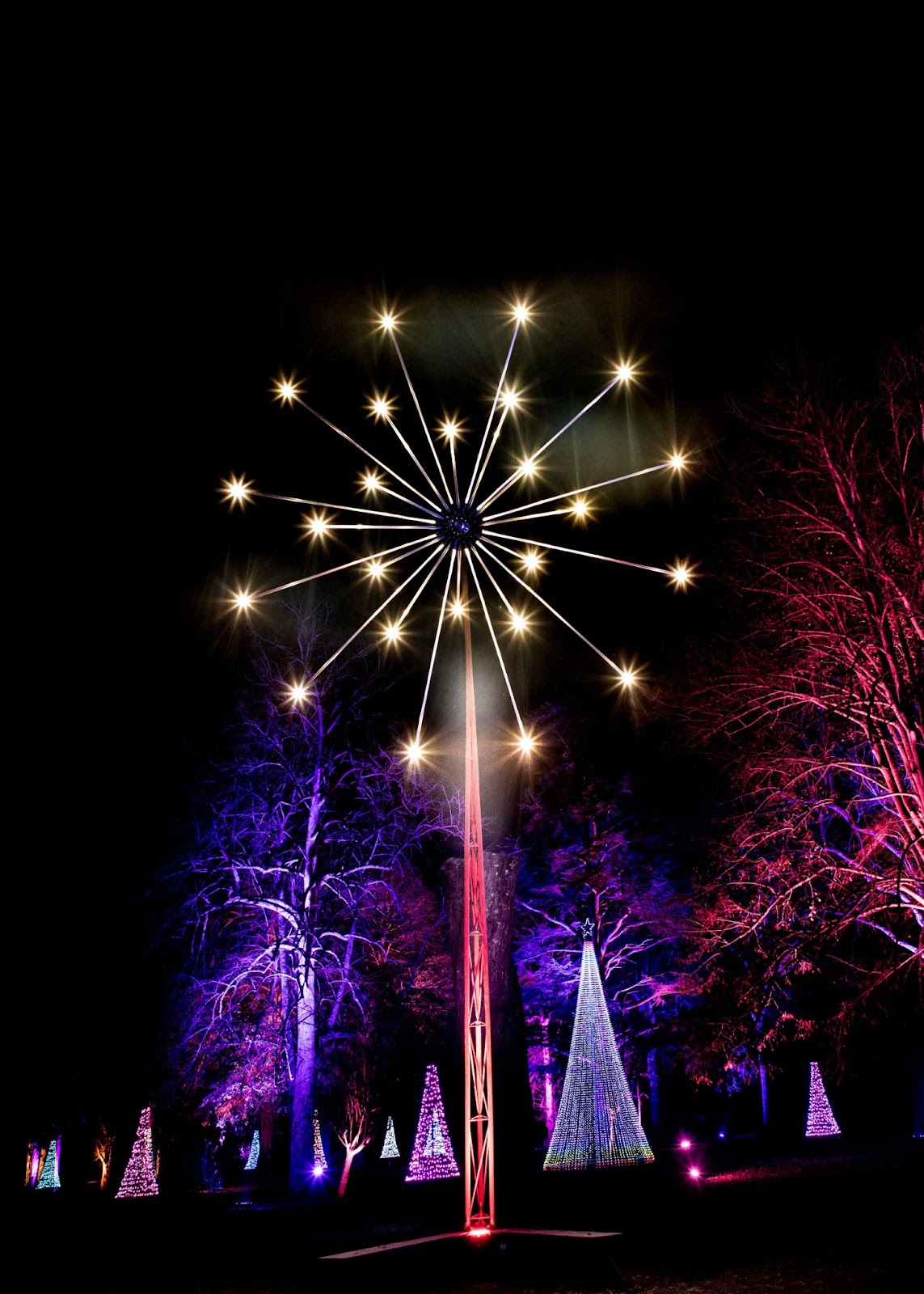 Blenheim Palace Christmas light trail in Oxfordshire, featuring over 1 million twinkling lights and stunning illuminated gardens.