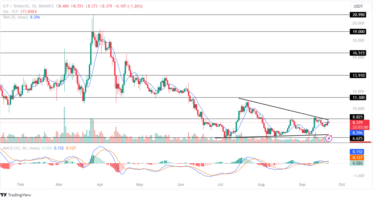 ICP price analysis sept 21 2024