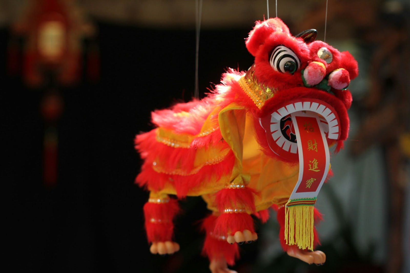 8 Things to Do this Chinese New Year (2025)!