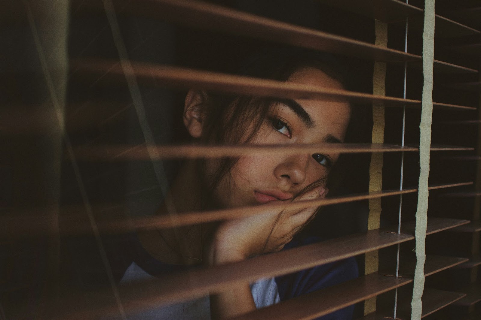 Tips for Enhancing Home Functionality & Choosing the Right Blinds Services and Garage Door System Motors
