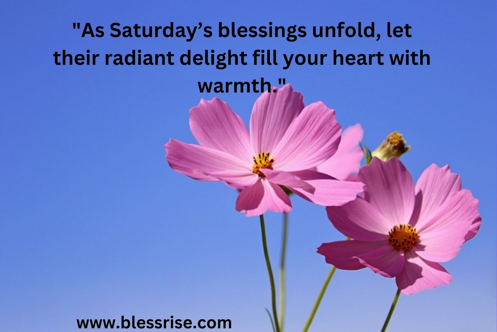 Saturday Sunshine Blessings