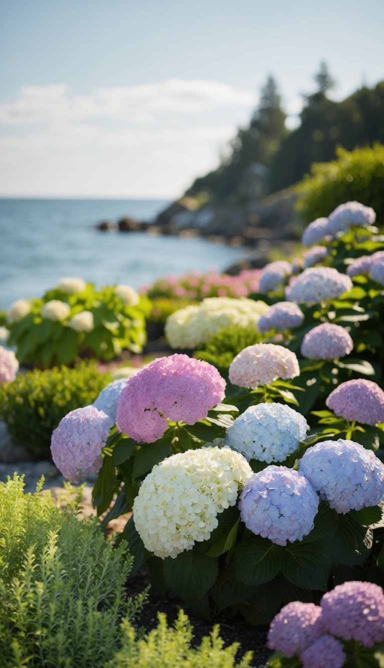 A coastal scene with a variety of hydrangeas arranged in a breezy and natural landscaping setting