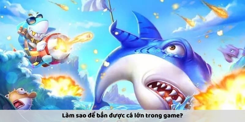 Làm sao để bắn được cá lớn trong game?