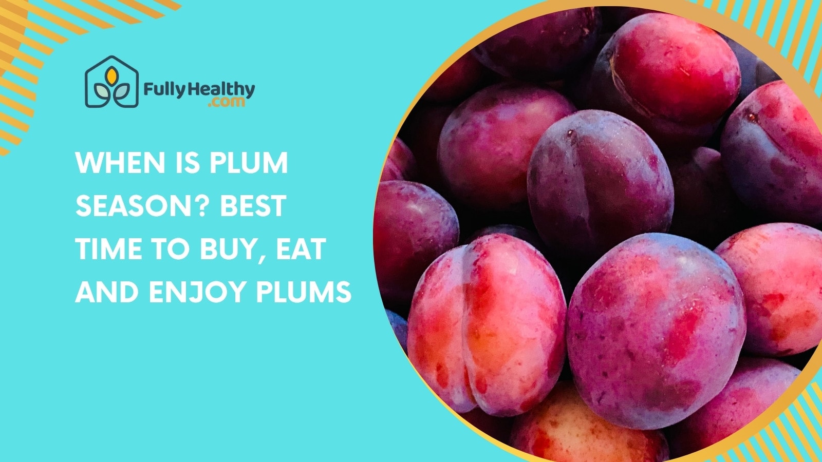 When Is Plum Season? Best Time to Buy, Eat and Enjoy Plums