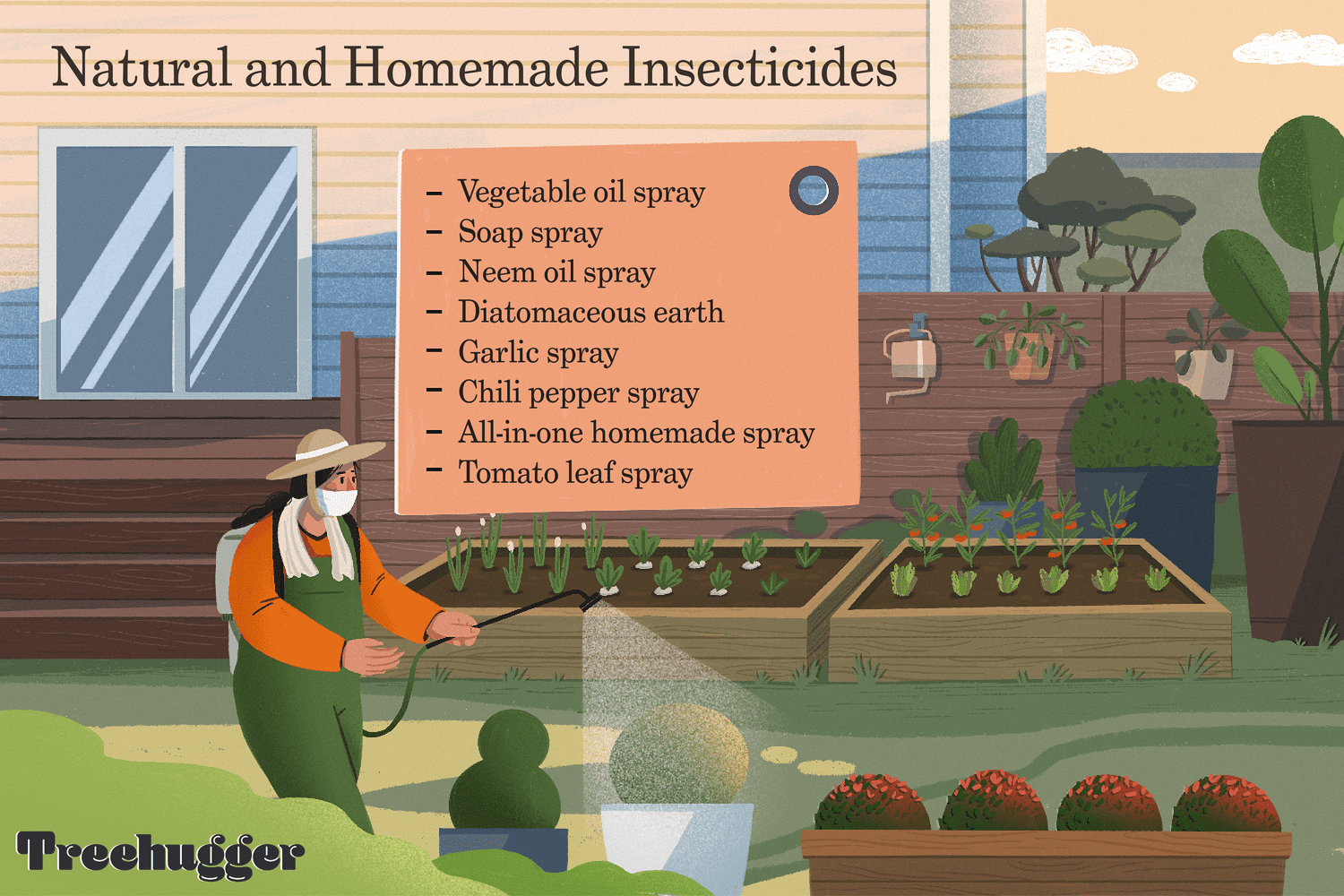 Natural Insecticides to Use at Home