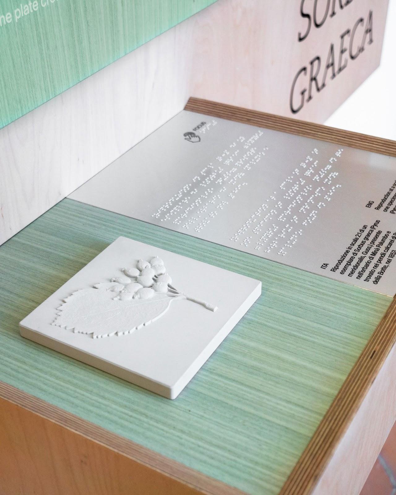 Dotdotdot Redesigns Sicilian Museum with Accessibility in Focus