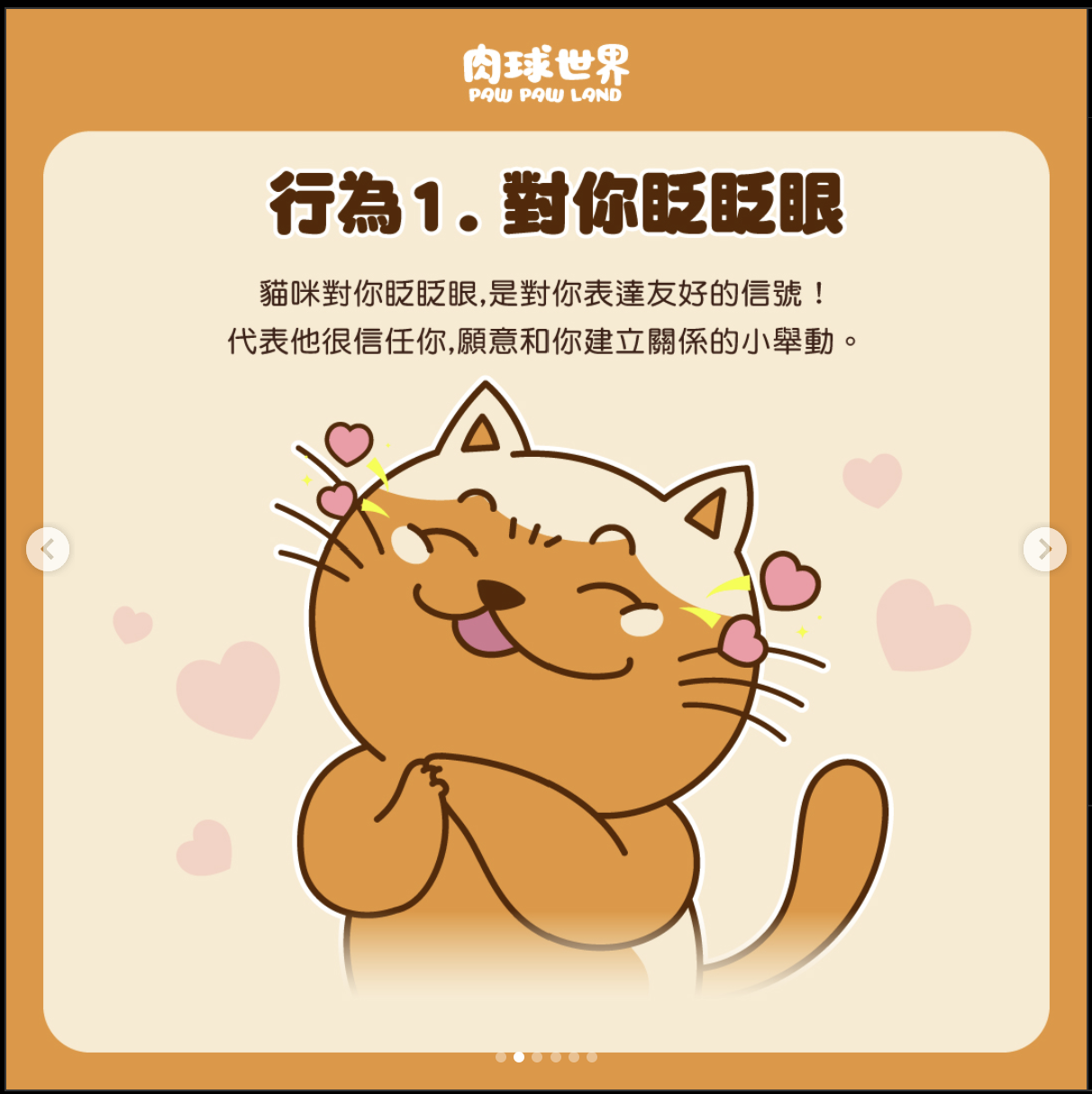 ● 行為（1）：貓咪對你眨眨眼