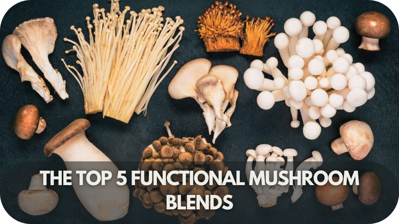 The top 5 functional mushroom blends for boosting health and wellness in 2025.