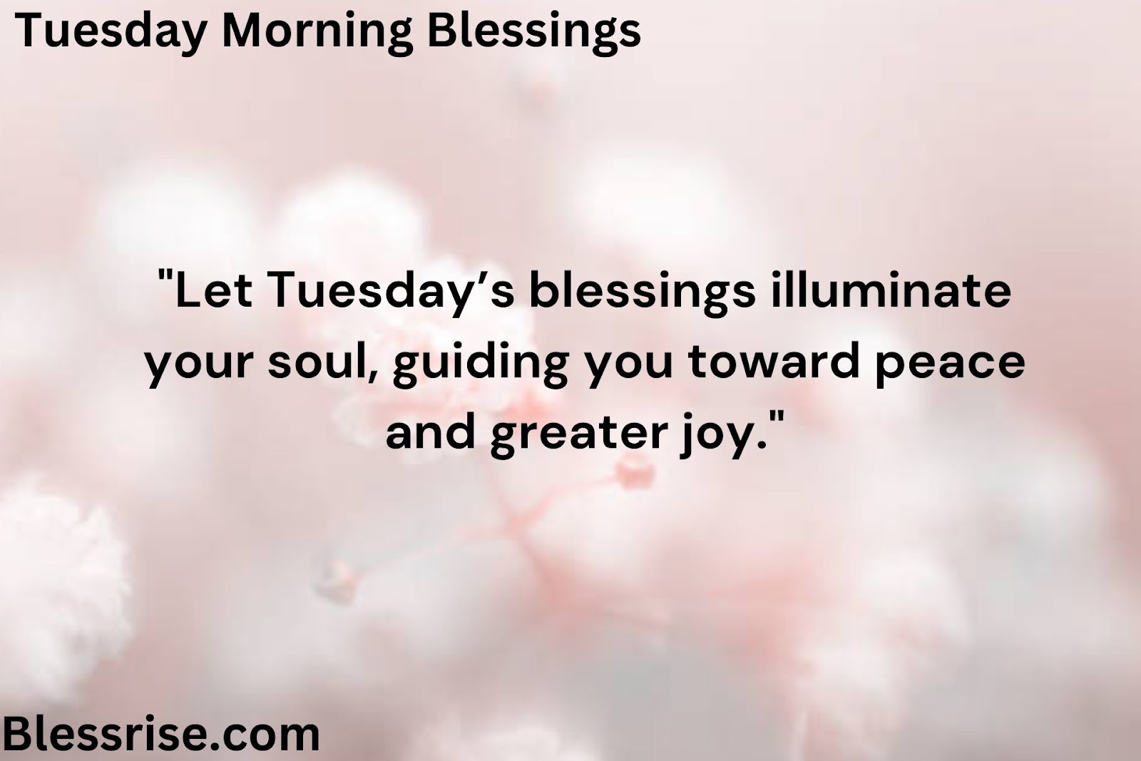 : Blessed Tuesday Sunshine