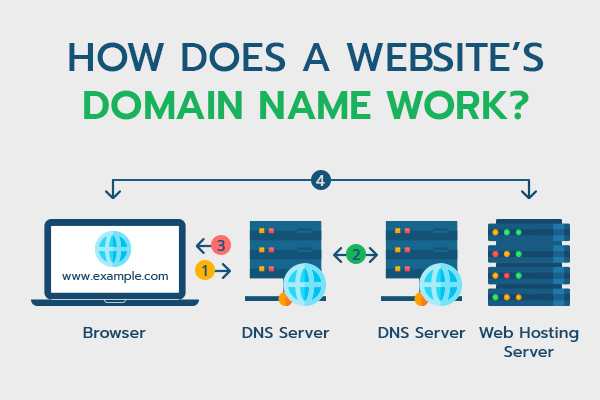 Understanding Domains and Hosting
