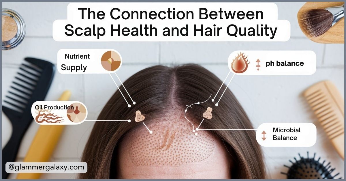 Infographic showing scalp with labels for nutrient supply, pH balance, oil production, and microbial balance.