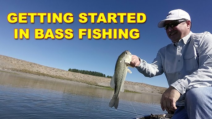 Bass Fishing Basics: Essential Tips for Beginners