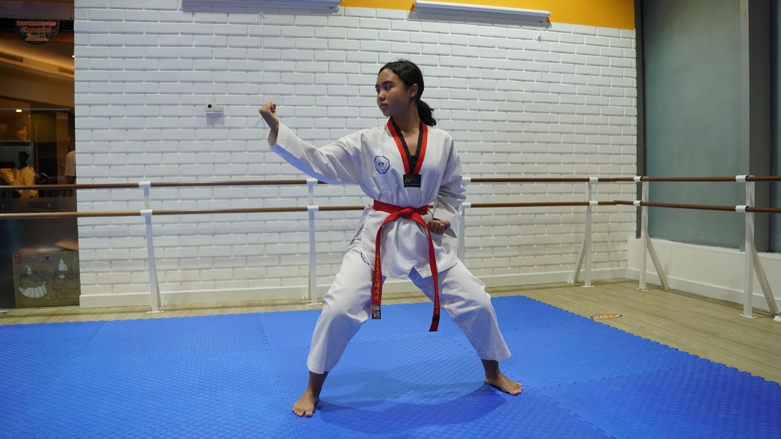 Types of Taekwondo Stances - Back Stance (dwi kubi seogi) 