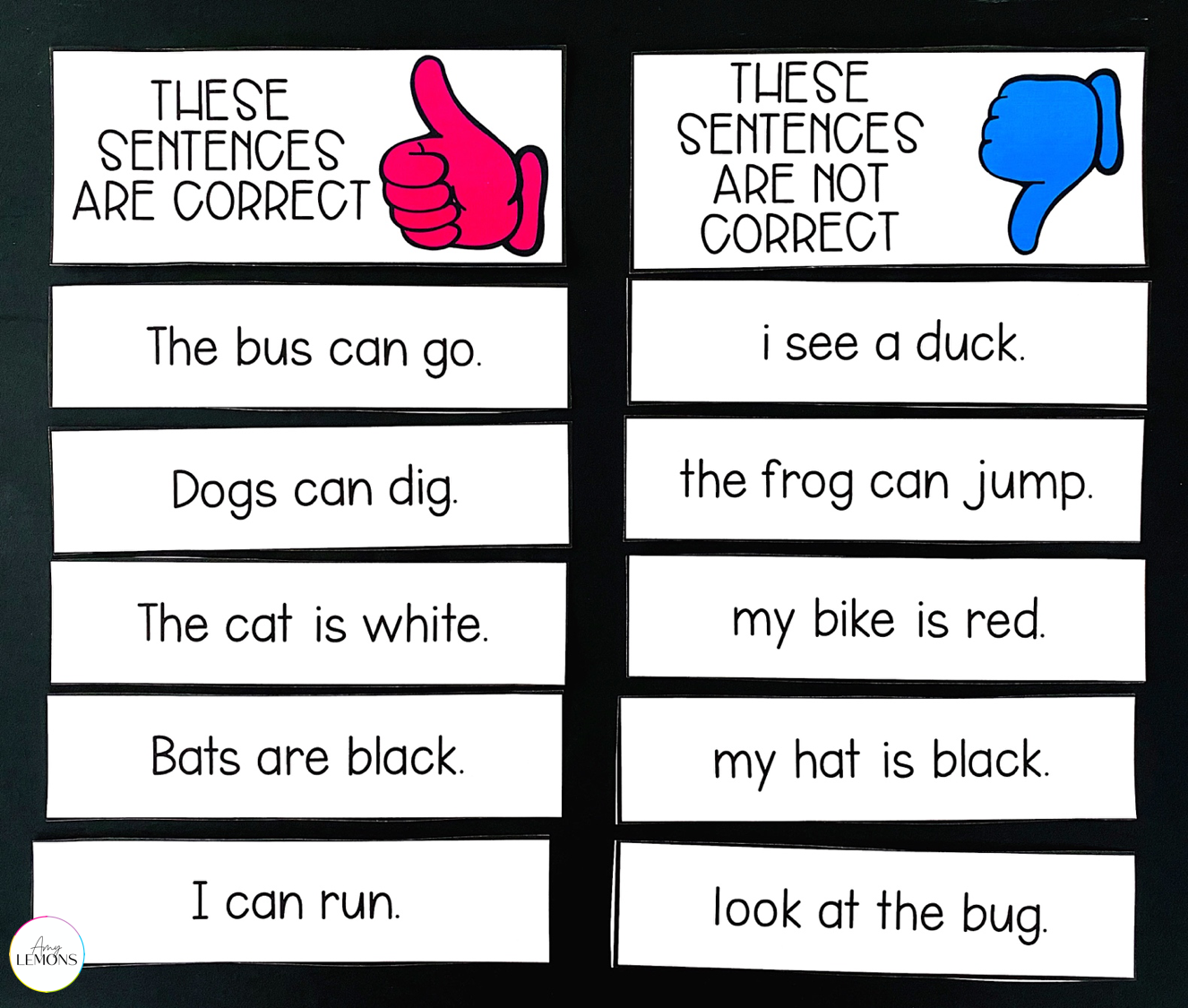 Anchor chart identifying correct and incorrect sentences.