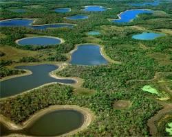 Imagen de Pantanal, Brasil