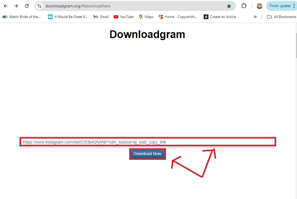 How To Download Instagram Videos - Downloadgram