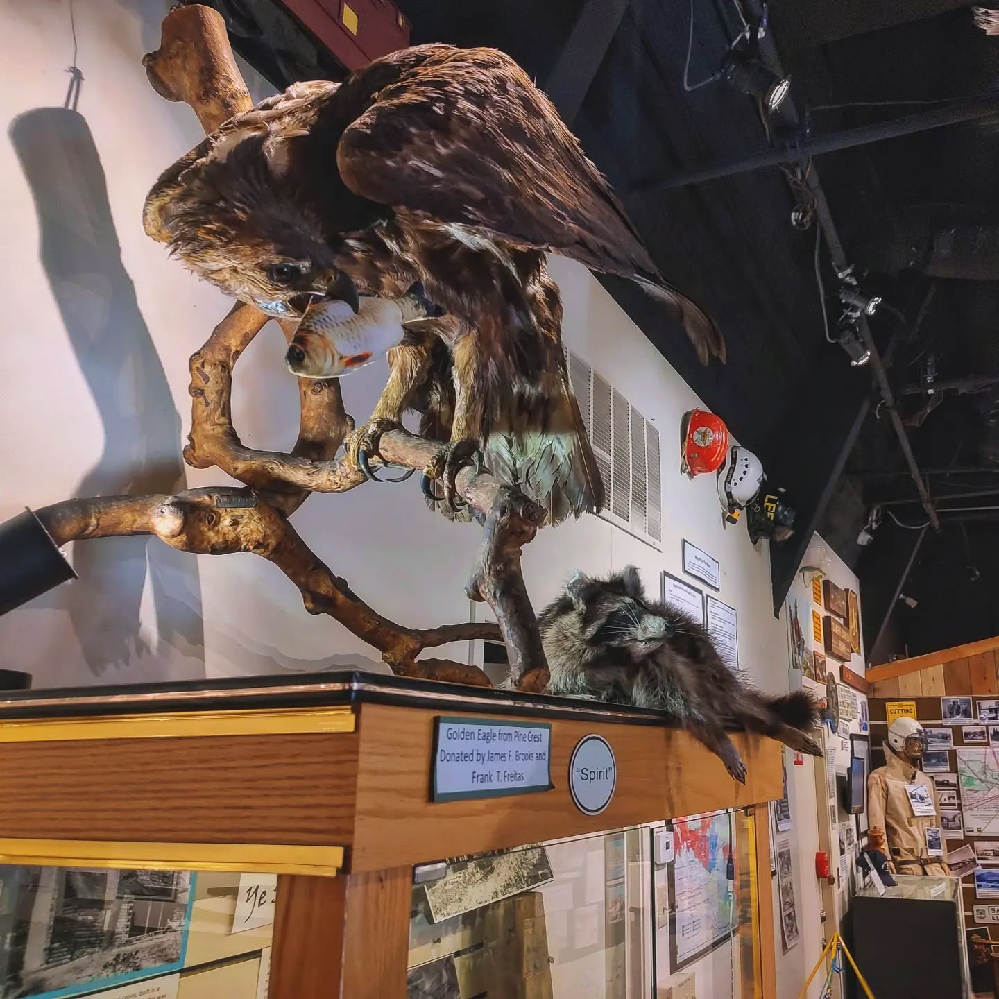 Mountain History Museum