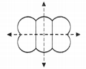 NCERT Solutions For Class 6 Maths Chapter 13 Symmetry