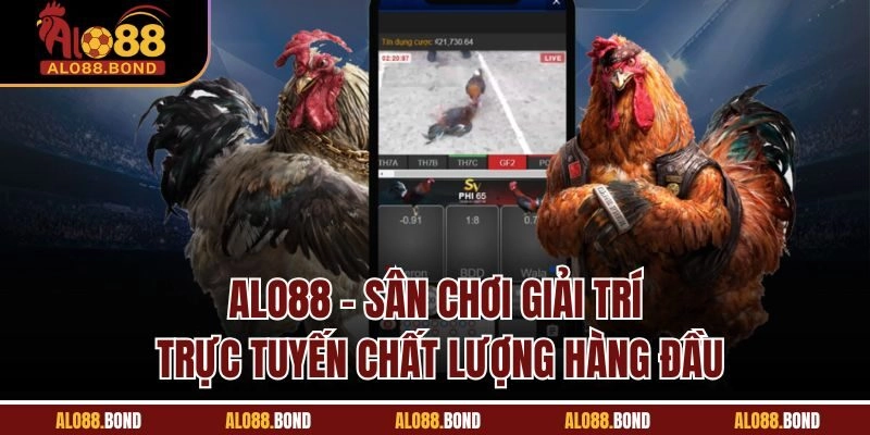 Alo88 – Sân chơi giải trí trực tuyến chất lượng hàng đầu